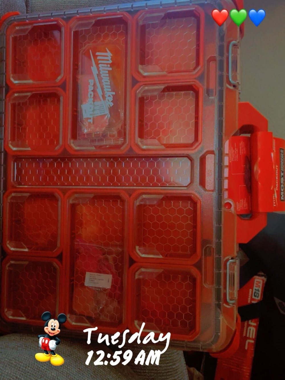 Red Portable Hardware Organizer - Red